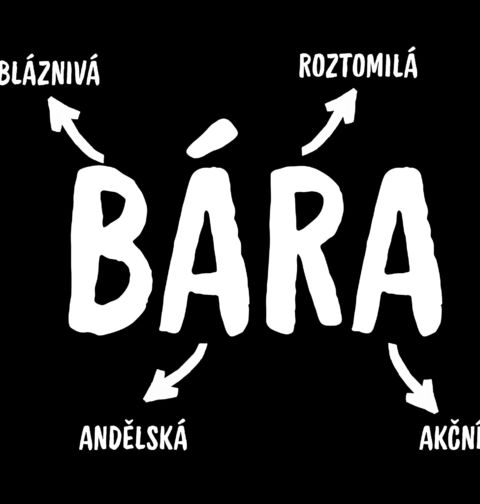 Obrázek produktu Dětské tričko Popis Jména Bára