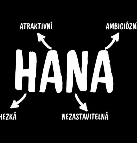 Obrázek produktu Dětské tričko Popis Jména Hana