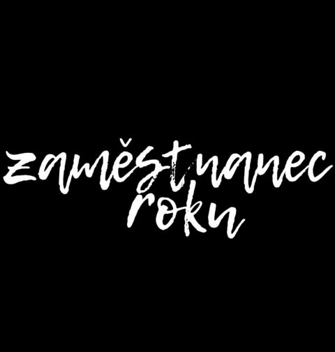 Obrázek produktu Dámské tričko Zaměstnanec roku