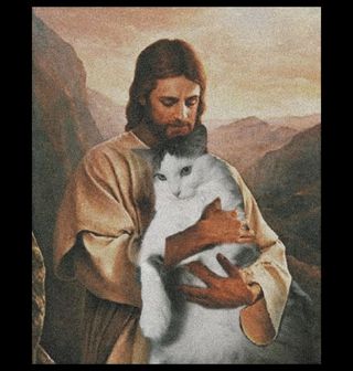 Obrázek 2 produktu Pánské tričko Ježíš miluje Kočky