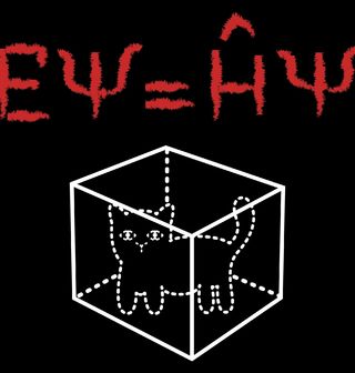 Obrázek 2 produktu Pánské tričko Schrödingerova Kočka v Krabici