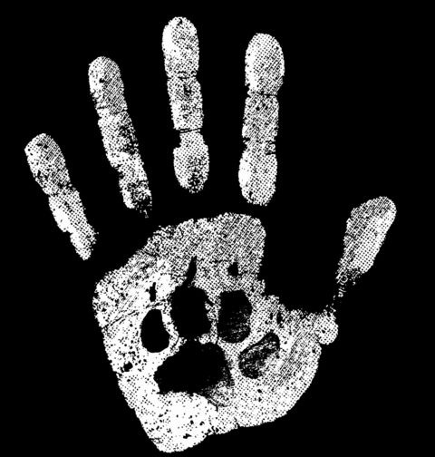 Obrázek produktu Dámské tričko Psí Otisk na Dlani