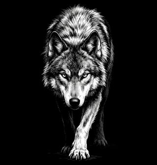 Obrázek 2 produktu Dámské tričko Tichý Vlk na Lovu