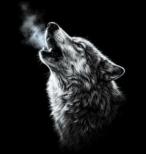 Obrázek produktu Dámské tričko Vlčí Dech v Mrazu