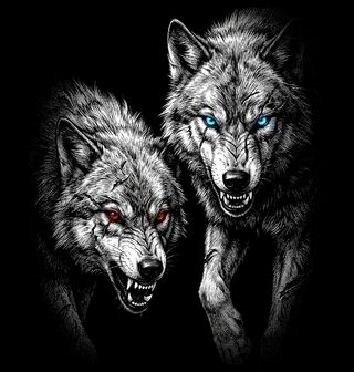 Obrázek 2 produktu Dámské tričko Vlčí Pouto