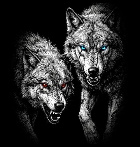 Obrázek produktu Pánská mikina Vlčí Pouto