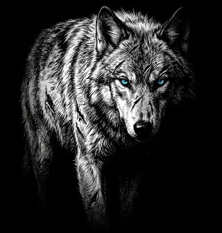 Obrázek 2 produktu Dámské tričko Ledový Pohled Vlka