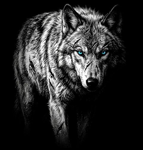 Obrázek produktu Dámské tričko Ledový Pohled Vlka