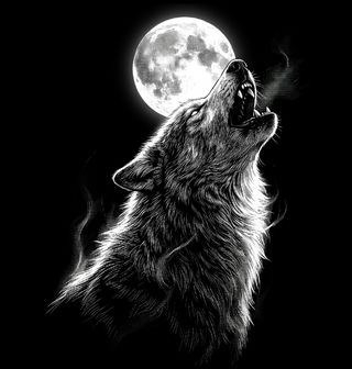 Obrázek 2 produktu Dětské tričko Vlčí Volání Smečky při Úplňku