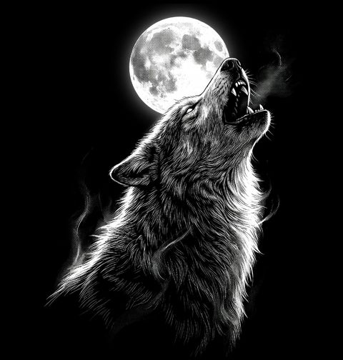 Obrázek produktu Dámské tričko Vlčí Volání Smečky při Úplňku