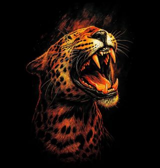 Obrázek 2 produktu Dámské tričko Řev Levharta skvrnitého