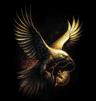 Obrázek 2 produktu Pánské tričko Orel skalní s Kořistí