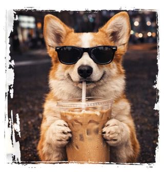 Obrázek 2 produktu Dámské tričko Pembroke Corgi s Ledovou Kávou