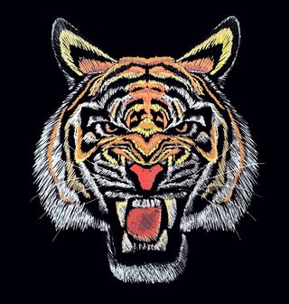 Obrázek 2 produktu Pánské tričko Rozzuřený Tygr