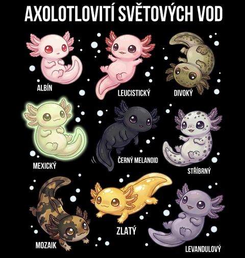 Obrázek produktu Dětské tričko Axolotlovití světových vod