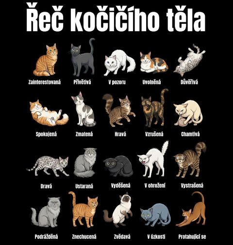 Obrázek produktu Dětské tričko Řeč Kočičího Těla