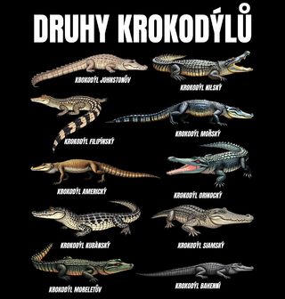 Obrázek 2 produktu Pánské tričko Druhy Krokodýlů