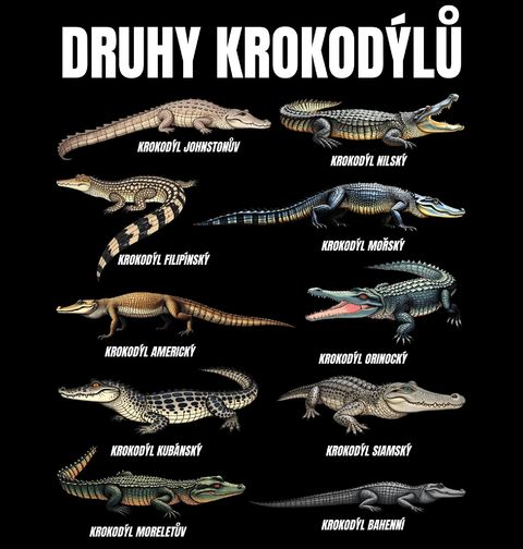 Obrázek produktu Dětské tričko Druhy Krokodýlů