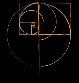 Obrázek 2 produktu Dámské tričko Zlatý Řez Spirála