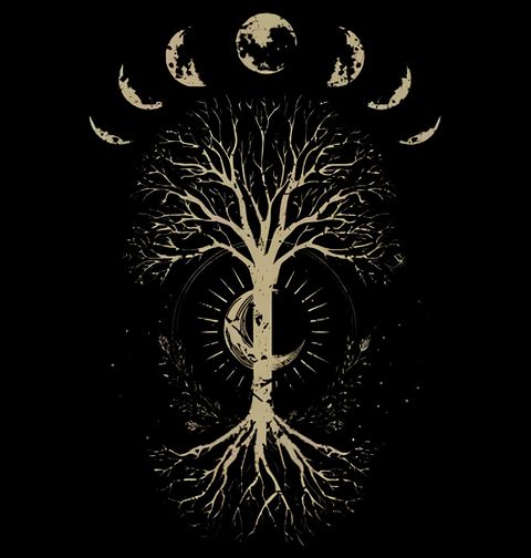 Obrázek produktu Pánské tričko Strom Života a Fáze Měsíce