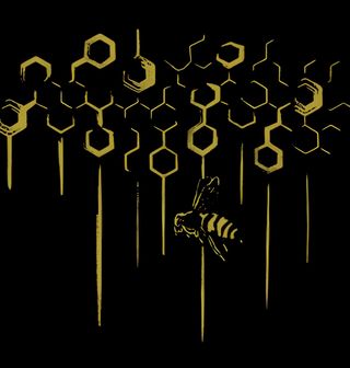 Obrázek 2 produktu Dětské tričko Zlatá Včelí Plástev Med