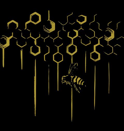 Obrázek produktu Dětské tričko Zlatá Včelí Plástev Med