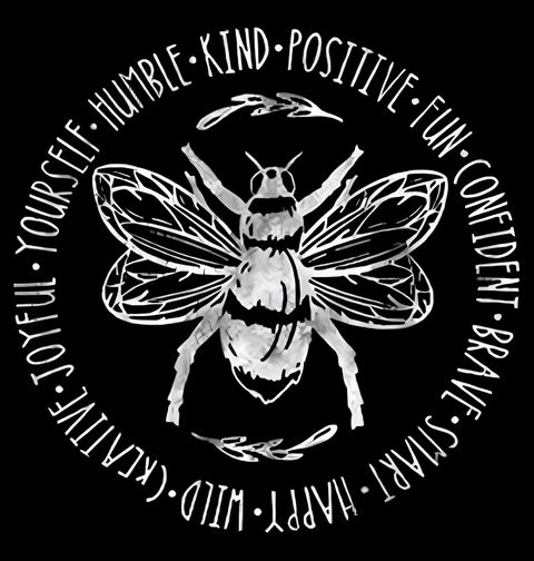 Obrázek produktu Pánská mikina Včelí Kruh Pozitivních Vlastností