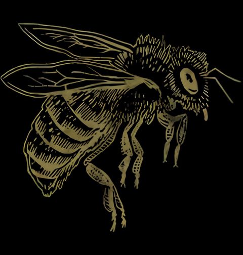 Obrázek produktu Pánské tričko Detailní Zlatá Včela