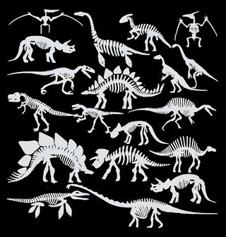 Obrázek 2 produktu Pánské tričko Atlas Dinosauřích Koster