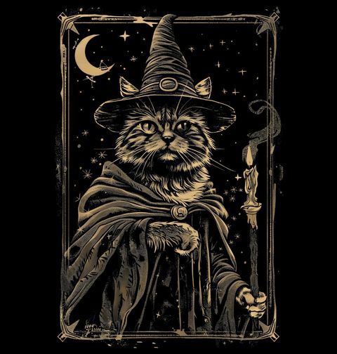 Obrázek produktu Dámské tričko Kočičí Čaroděj se Svíčkou