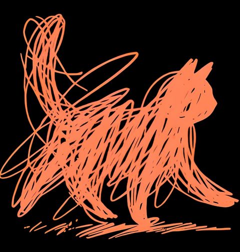 Obrázek produktu Pánské tričko Oranžová Kočka Jedním Tahem