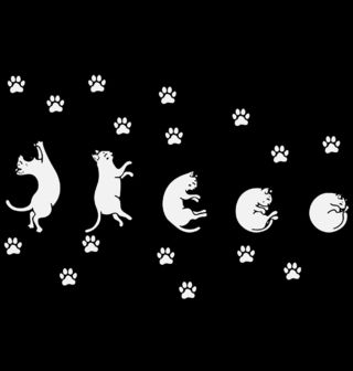 Obrázek 2 produktu Pánské tričko Měsíční Fáze Kočičího Klubíčka