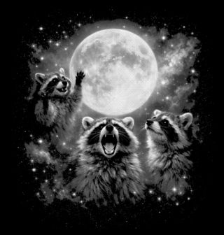 Obrázek 2 produktu Pánská mikina Mýval při Úplňku