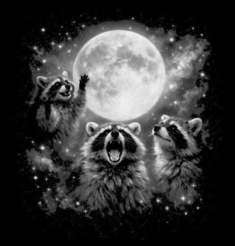 Obrázek produktu Pánská mikina Mýval při Úplňku