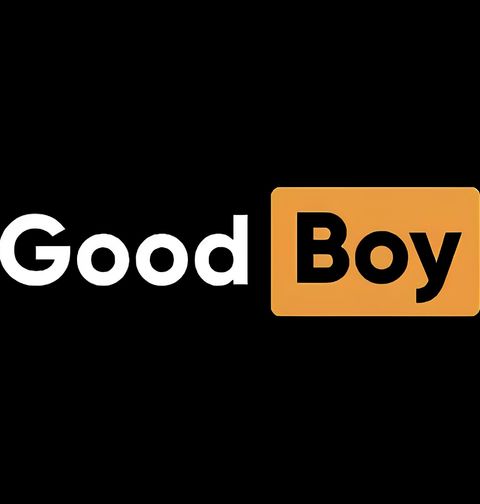 Obrázek produktu Pánská mikina Hodný Chlapec Good Boy Pornhub