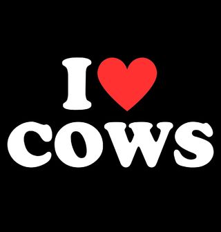 Obrázek 2 produktu Dětské tričko Miluju Krávy I Love Cows
