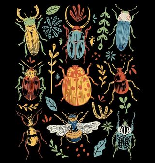 Obrázek 2 produktu Dámské tričko Barevný svět Hmyzu