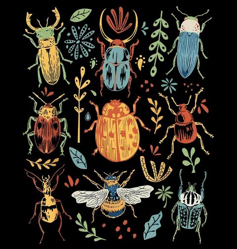 Obrázek produktu Dámské tričko Barevný svět Hmyzu