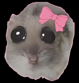 Obrázek 2 produktu Dámské tričko Roztomilý Křeček s Mašlí Sad Hamster Meme