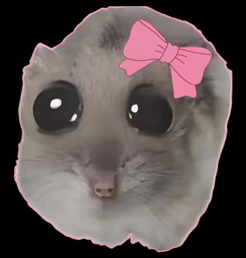Obrázek produktu Dámské tričko Roztomilý Křeček s Mašlí Sad Hamster Meme
