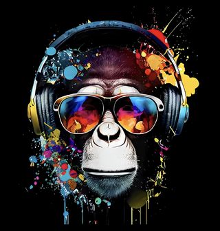 Obrázek 2 produktu Dětské tričko DJ Opice