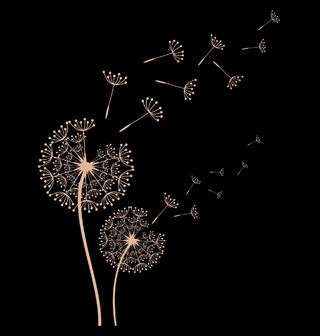 Obrázek 2 produktu Dětské tričko Pampeliška ve Větru