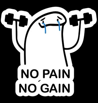 Obrázek 2 produktu Pánské tričko Bolest k Úspěchu