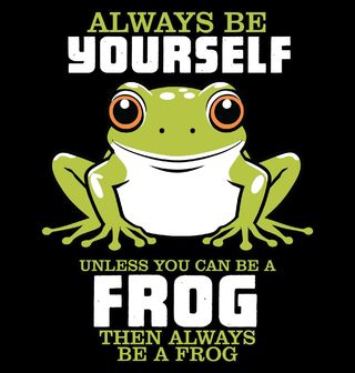 Obrázek 1 produktu Dámské tričko Buď Sám Sebou Žába