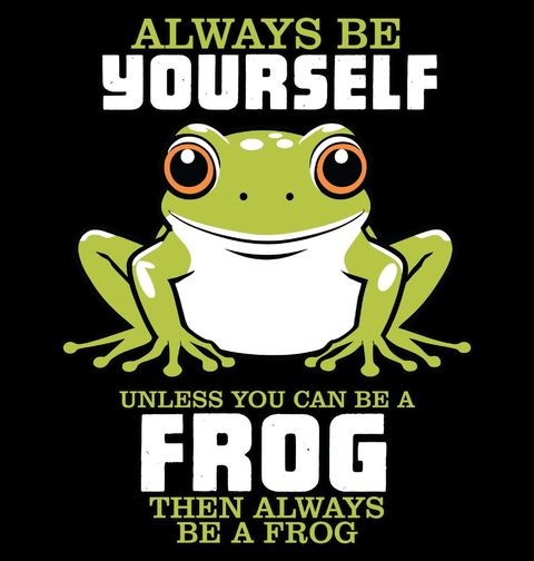 Obrázek produktu Dětské tričko Buď Sám Sebou Žába