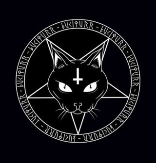 Obrázek 2 produktu Pánské tričko Černá Kočka LuciPurr (Velikost: XXL)