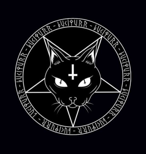 Obrázek produktu Pánské tričko Černá Kočka LuciPurr