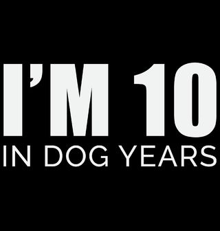 Obrázek 2 produktu Pánská mikina V Psích Letech je mi 10