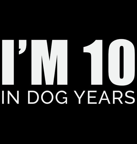 Obrázek produktu Pánská mikina V Psích Letech je mi 10