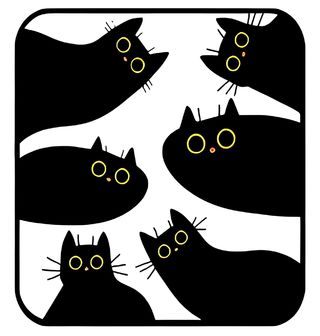 Obrázek 2 produktu Pánské tričko Kočičí Minimalismus